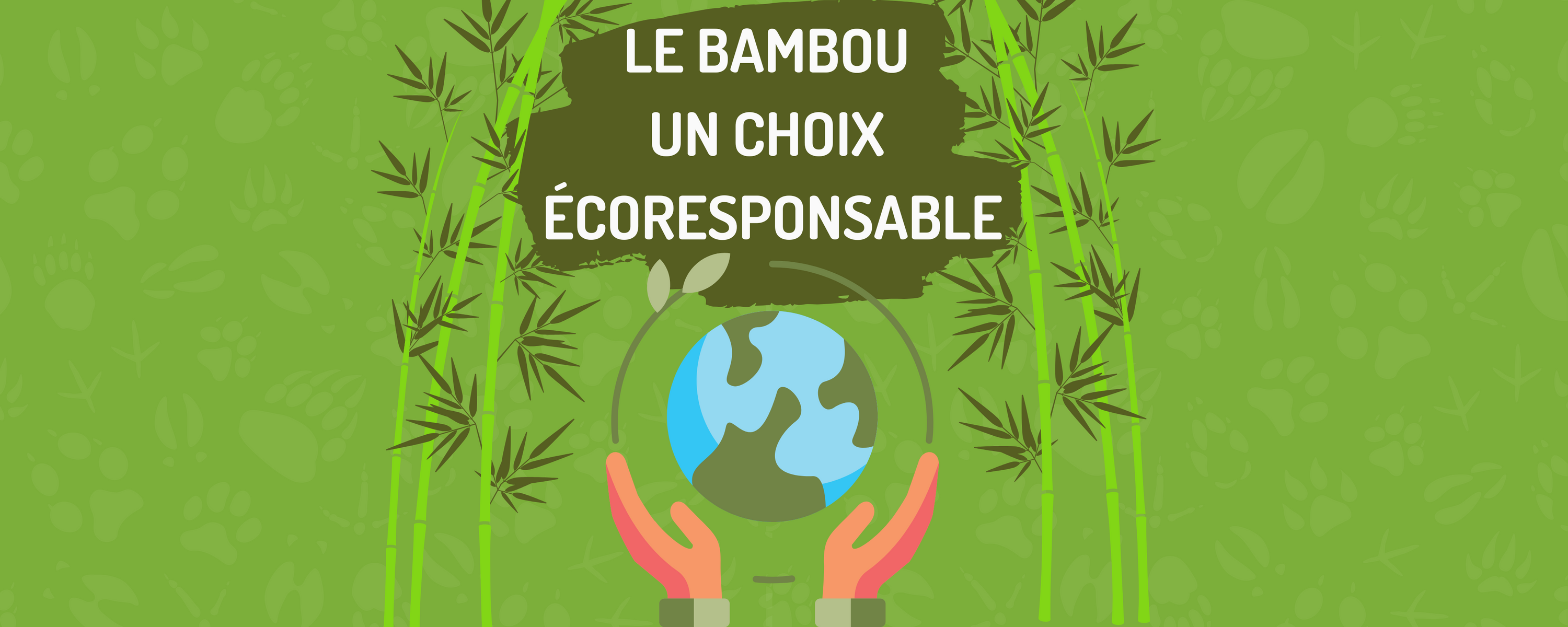 pourquoi choisir du bambou pour réduire notre empreinte écologique